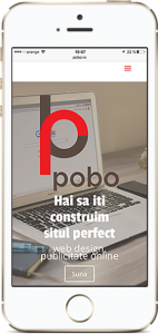 dezvoltare website si publicitateonline